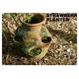 STRAWBERRY PLANTER
