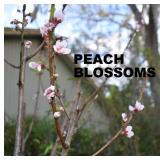 A PHOTO JUST FOR YOUR ENJOYMENT