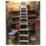 ONE OF MULTIPLE LADDERS BEING SOLD