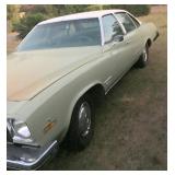 HOOD NEEDS REPAINTED