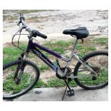ROADMASTER LADIES BICYCLE