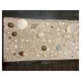 SAND & SEASHELL CENTER WELL