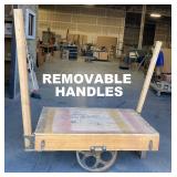 REMOVEABLE HANDLES