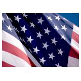 Annual Memorial Day Online Auction 