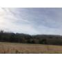 February 29th Absolute Auction: 45+ Acres