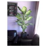 Own Your Own Nail Salon - All Assets And Lease