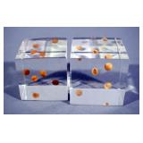 Crystal And Glass Votives And More, Total Qty 20