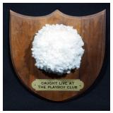 Playboy Bunny "Caught Live at The Playboy Club" Novelty Playboy Bunny Tail Mount on Solid American W