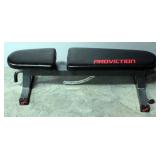 Proviction Weight Bench