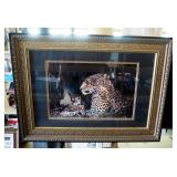 Framed, Matted, Under Glass, Photograph Of Leopard And Cub, 23.5" x 44.5"