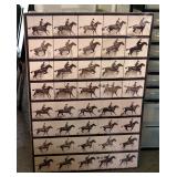 Horse Gait Poster 27.5" X 39.25"