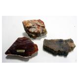Stone Collection, 1 Piece Labeled Petrified Wood
