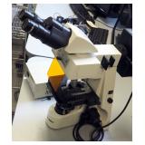 Kohler 40X-1000X Professional Infinity Phase Contrast Compound Microscope