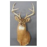 Taxidermied 8-Point Deer Head, Approx 47" Long
