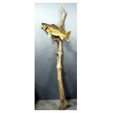 Walleye Taxidermy Standing Mount Approx 24" Fish, Stands 69" Tall