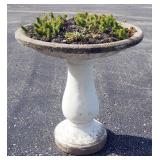 Concrete Bird Bath, Top Comes Off Pedestal