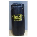 Everlast Heavy Bag, Some Wear