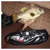 Zebco 33 Telecast Pocket Pole Fishing Rod And Reel With Case, And Mounted Taxidermy Crappie, Fish Me