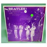 The Beatles The Never Released Mary Jane, a.j.c. cumquat production, Unofficial Release, NM Vinyl