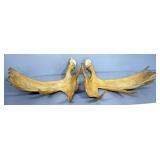 Pair Of Moose Antlers, Approx 57" Wide Spread