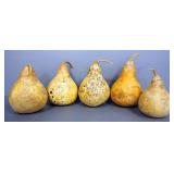 Gourd Collection, Various Sizes, Total Qty 15