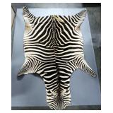 Believed To Be Zebra Pelt, Tail Has Been Repaired (Some Rips Present), Approx 105" Long, Tip To Tail