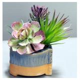 Faux Succulent Plants In Planters, Qty 4