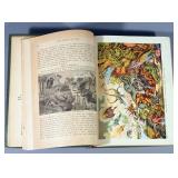 The Story Of Man by J.W. Buel, 1890, Illustrated With Color & B/W, Pictorial Cover