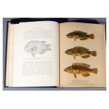 Fishes By David Starr Jordan, 1925, 1st Printing, Color & B/W Illustrations
