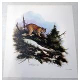 Wildlife Prints Of Various Animals, Qty 8, Each 19" Wide x 20" High, Artist Name Undeciphered, Swaro
