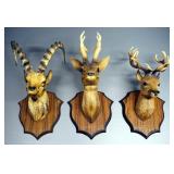 Wall Hanging Plastic Hunting And Fishing Mounts, Total Qty 5