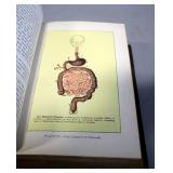 The Masterpiece By J H Kellogg MD, 1886, Early Edition, Color And Black And White Plate Illustration