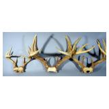 Unmounted Deer Antlers, Qty 3, Includes 10 Pt And 8 Pt