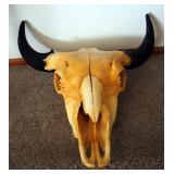 Authentic Preserved Buffalo Skull, 19" x 23"