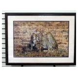 Simon Combes (English, 1940- ) Study In Concentration Cheetahs Print, Signed And Numbered 388/850, F