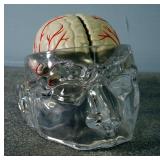 Flexible Spine Model With Pelvis With 20" Stand And Seroqual 5-Piece Brain Model