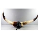 Custom Steer Horn Motorcycle Helmet, Size Unknown, Horn Span 35"