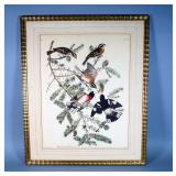 John J. Audubon Folio Size Chromolithograph Of Rose Breasted Grosbeak Plate, Framed And Matted, 21" 