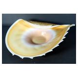 Handcrafted Art Glass Rippled Scalloped Edge Seashell Centerpiece Bowl, 18" x 11"