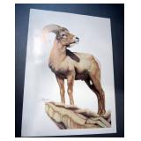 Susan Morrison American Wildlife Limited Edition Bighorn Sheep Print #120 of 500 Gallery Edition 25"