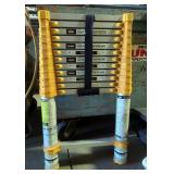 Xtend Climb Telescopic Ladder, 12FT