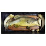 Vintage Taxidermy Large Mouth Bass Fish Mount, 24" Long, Fish Has Tail And Fin Damage, Steer Horns, 