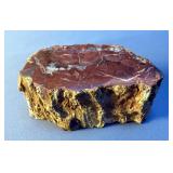 Natural Petrified Wood Polished Slice, 2" x 4" x 1.75"