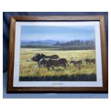Dan Balke "Lion Pride" Framed Under Glass Print, 25" x 31"