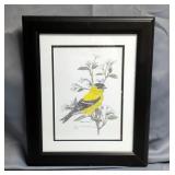R Glenn Garrison Goldfinch Print, 85/200, Signed, Framed, Matted Under Glass, 14" X 17"