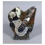 Ammonite and Orthoceras Fossil Statue - 5 1/2" Tall