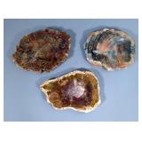 Polished Petrified Wood Slices, 6 to 7"