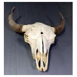 Bison Skull, Approx 27" x 28" x 10"