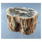 Petrified Wood Branch With Polished And Unpolished Ends - Measures 4.5" x 3.5" x 2.75" Tall