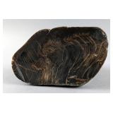 Petrified Wood Specimen With Polished Face, 1.03lbs